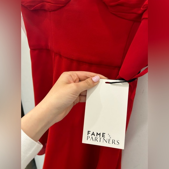 Fame and Partners The Elham Dress - Picture 4 of 7